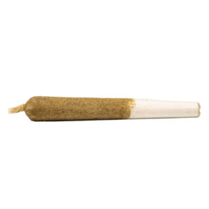 General Admission - Tropic GSC Infused Pre-Roll - Sativa - 1x1g.jpg